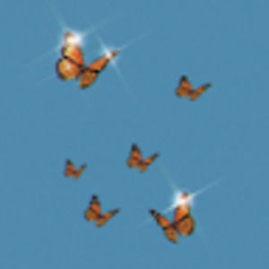 Meet your Posher, Savannah